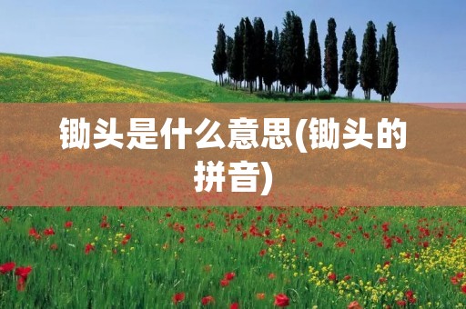 锄头是什么意思(锄头的拼音)