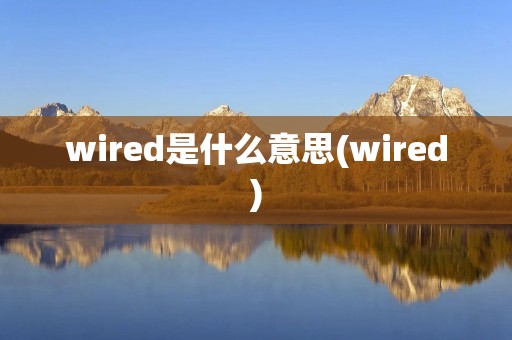 wired是什么意思(wired)