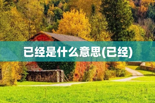 已经是什么意思(已经)