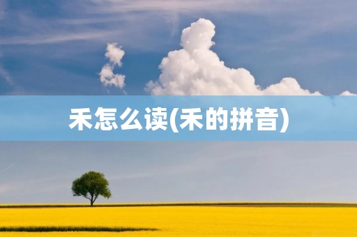 禾怎么读(禾的拼音)