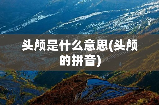 头颅是什么意思(头颅的拼音)
