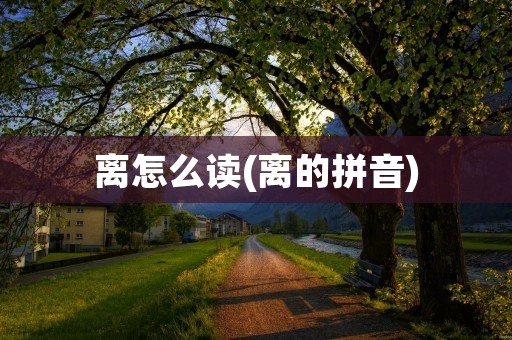 离怎么读(离的拼音)