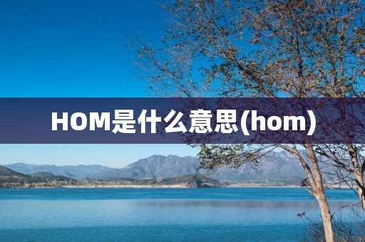 HOM是什么意思(hom)