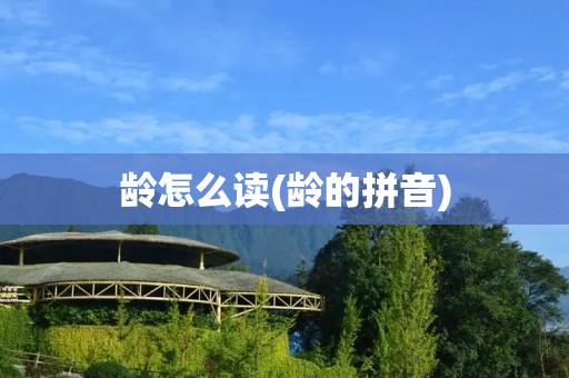 龄怎么读(龄的拼音)