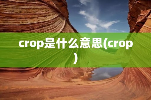 crop是什么意思(crop)