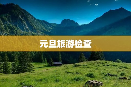 元旦旅游检查