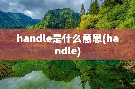 handle是什么意思(handle)