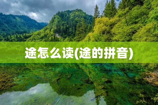 途怎么读(途的拼音)