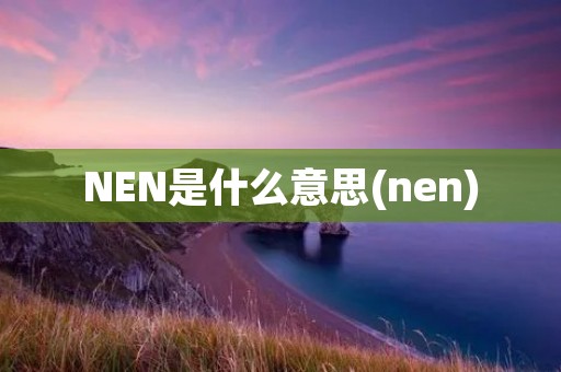 NEN是什么意思(nen)