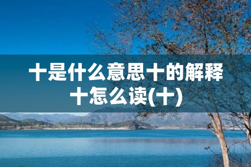 十是什么意思十的解释十怎么读(十)