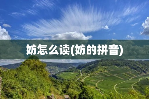 妨怎么读(妨的拼音)
