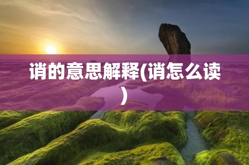 诮的意思解释(诮怎么读)