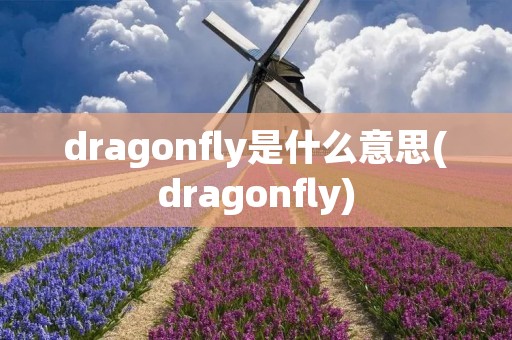 dragonfly是什么意思(dragonfly) dragonfly是什么意思(dragonfly)