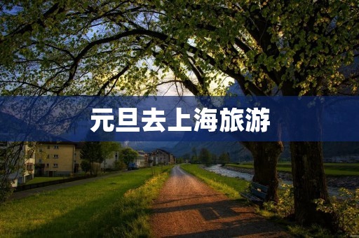 元旦去上海旅游