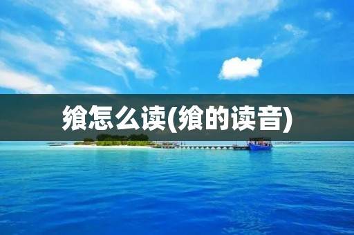 飨怎么读(飨的读音)