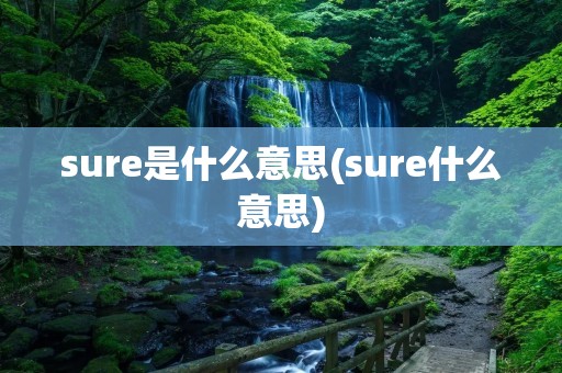 sure是什么意思(sure什么意思)
