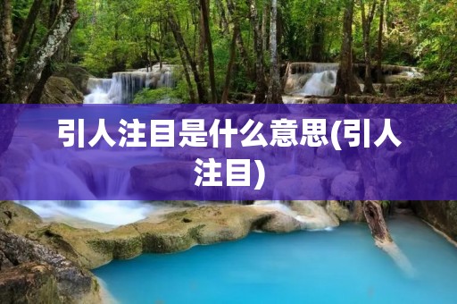 引人注目是什么意思(引人注目)