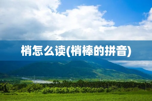 梢怎么读(梢棒的拼音)