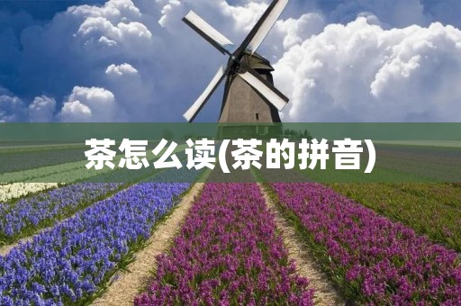 茶怎么读(茶的拼音)