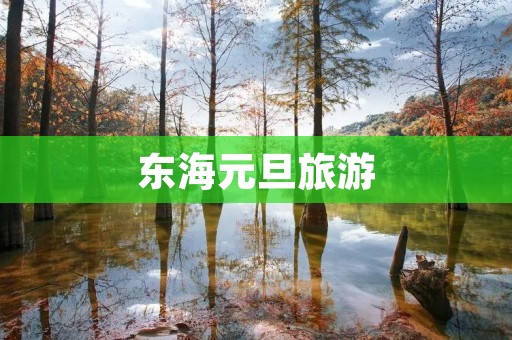 东海元旦旅游