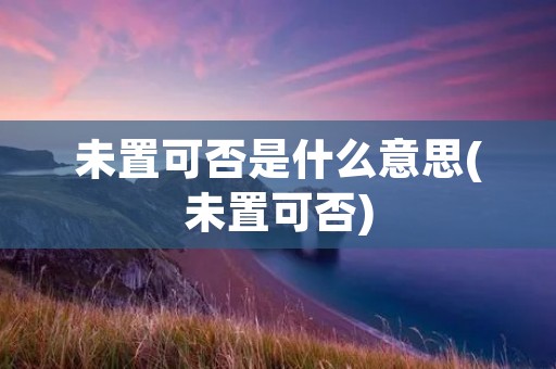 未置可否是什么意思(未置可否)