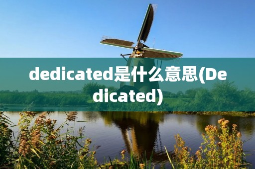 dedicated是什么意思(Dedicated)