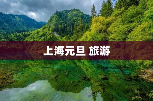 上海元旦 旅游