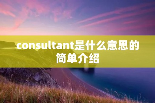 consultant是什么意思的简单介绍 consultant是什么意思的简单介绍