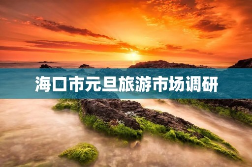 海口市元旦旅游市场调研 海口市元旦旅游市场调研
