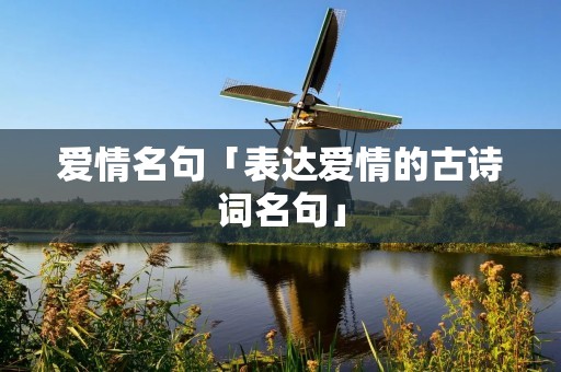 爱情名句「表达爱情的古诗词名句」