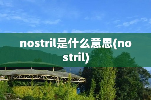 nostril是什么意思(nostril)