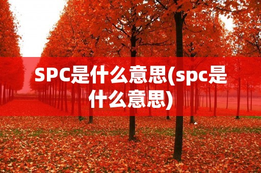 SPC是什么意思(spc是什么意思)