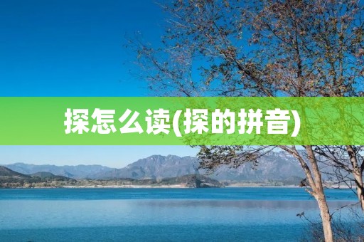 探怎么读(探的拼音)