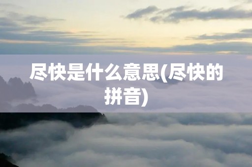 尽快是什么意思(尽快的拼音) 尽快是什么意思(尽快的拼音)