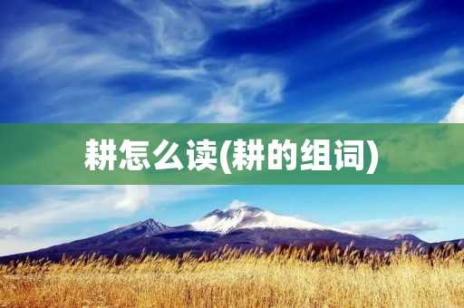 耕怎么读(耕的组词)