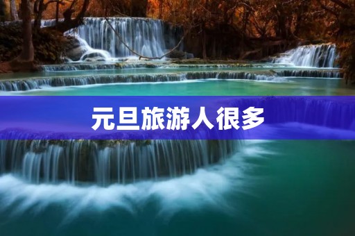 元旦旅游人很多