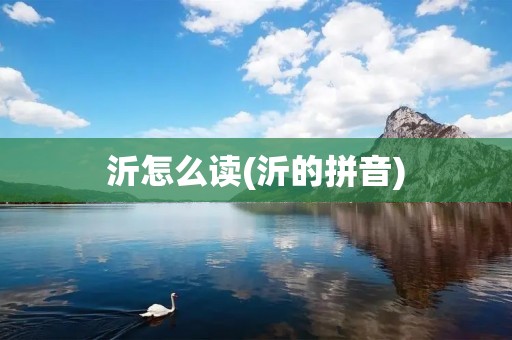 沂怎么读(沂的拼音)