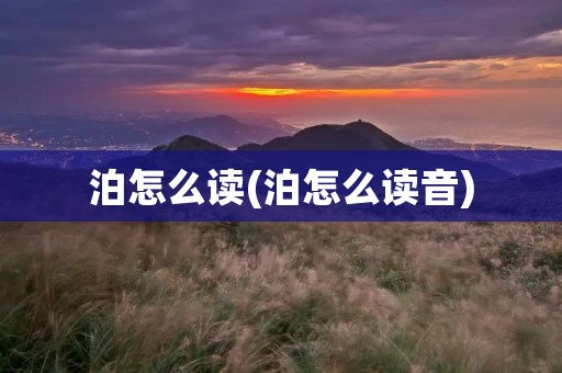 泊怎么读(泊怎么读音)