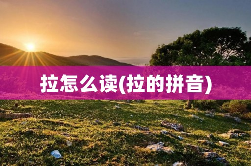 拉怎么读(拉的拼音)