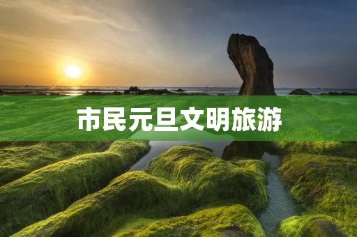 市民元旦文明旅游