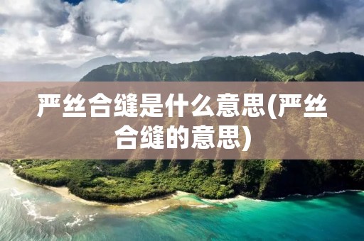严丝合缝是什么意思(严丝合缝的意思)