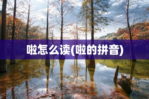 啦怎么读(啦的拼音)