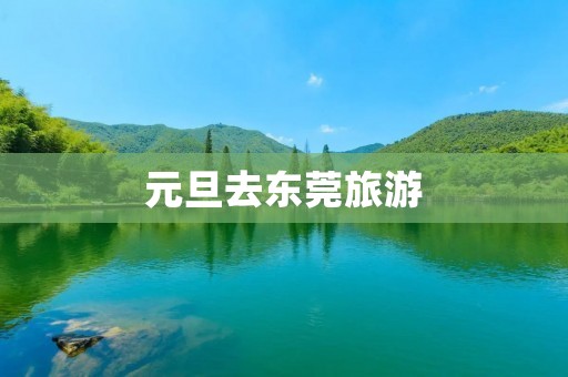 元旦去东莞旅游