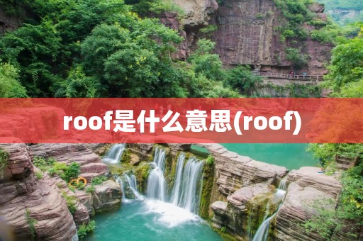 roof是什么意思(roof)