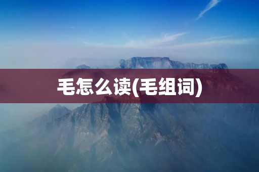 毛怎么读(毛组词)
