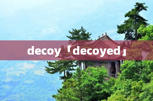 decoy「decoyed」