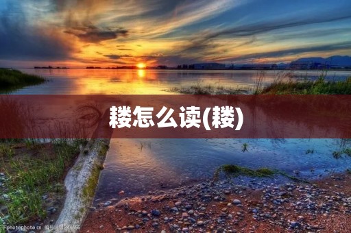 耧怎么读(耧)