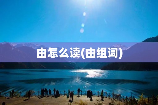 由怎么读(由组词)