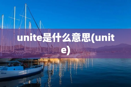 unite是什么意思(unite)