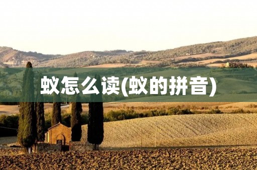 蚁怎么读(蚁的拼音)